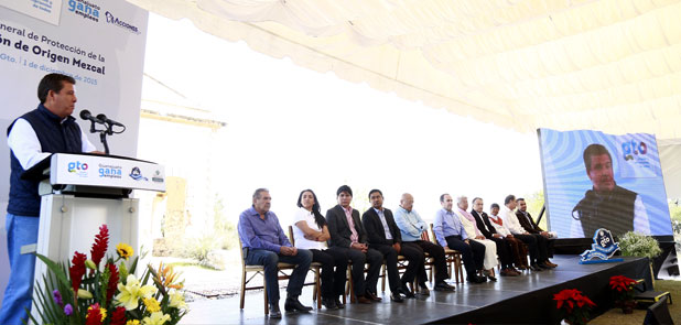 Protegen origen de mezcal