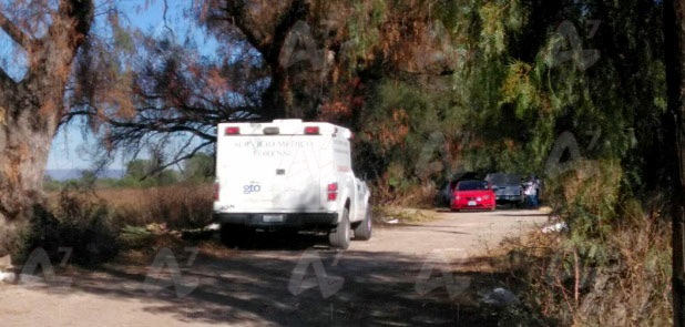 Septuagenaria es asesinada a machetazos en su casa